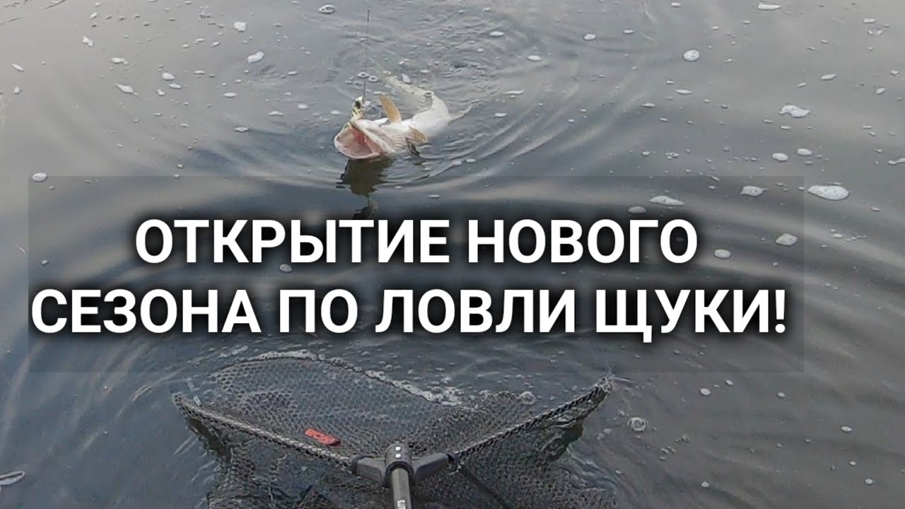 Открытие нового сезона по спиннингу 2026! Ловля щуки в Январе на воблеры, где,  и как её поймать?! 