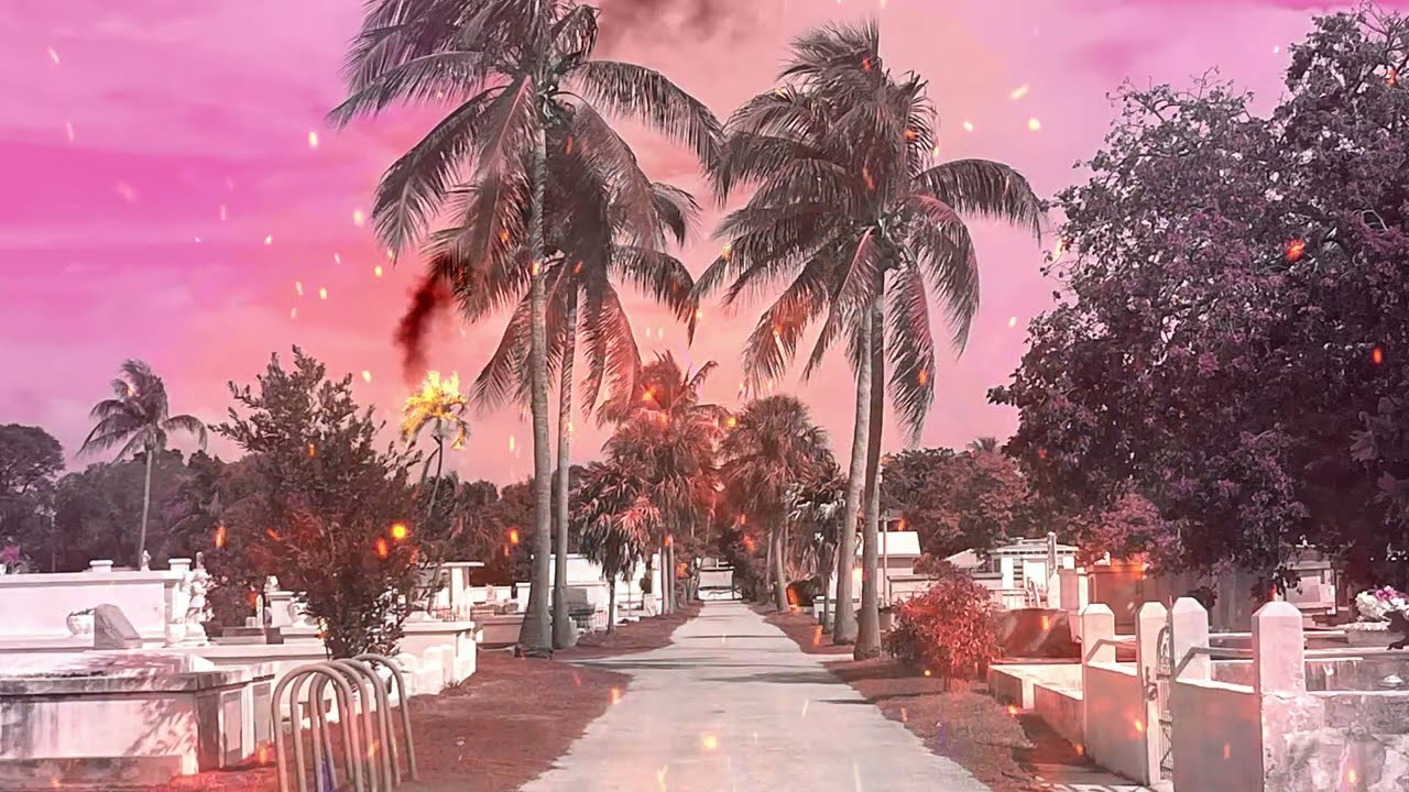 The Dopamines - The Doctor [Official Video/Visualizer]