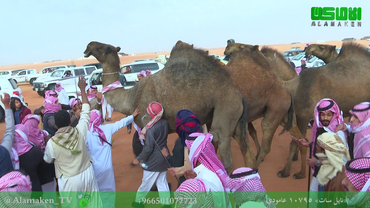 مسيرة أبناء عايض بن دغيثر العتيبي