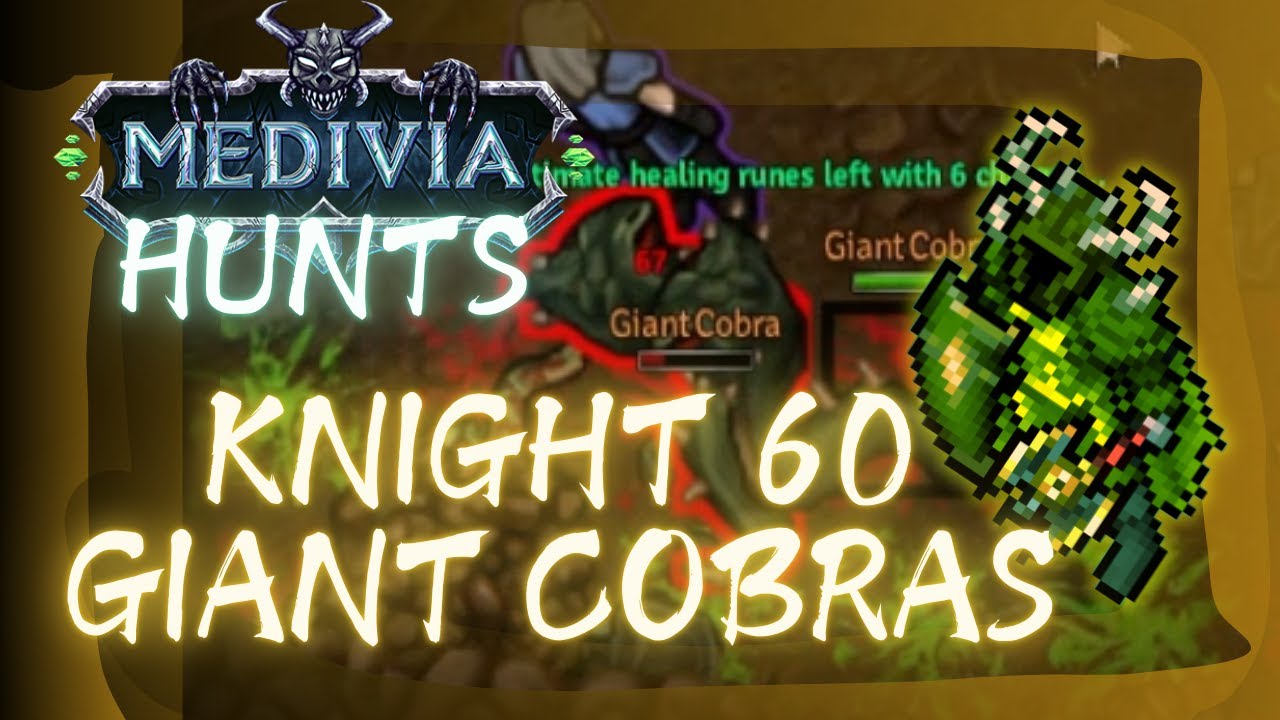 KNIGHT 60 SOLO AT GIANT COBRAS + WINGED VERMINS - MEDIVIA ONLINE