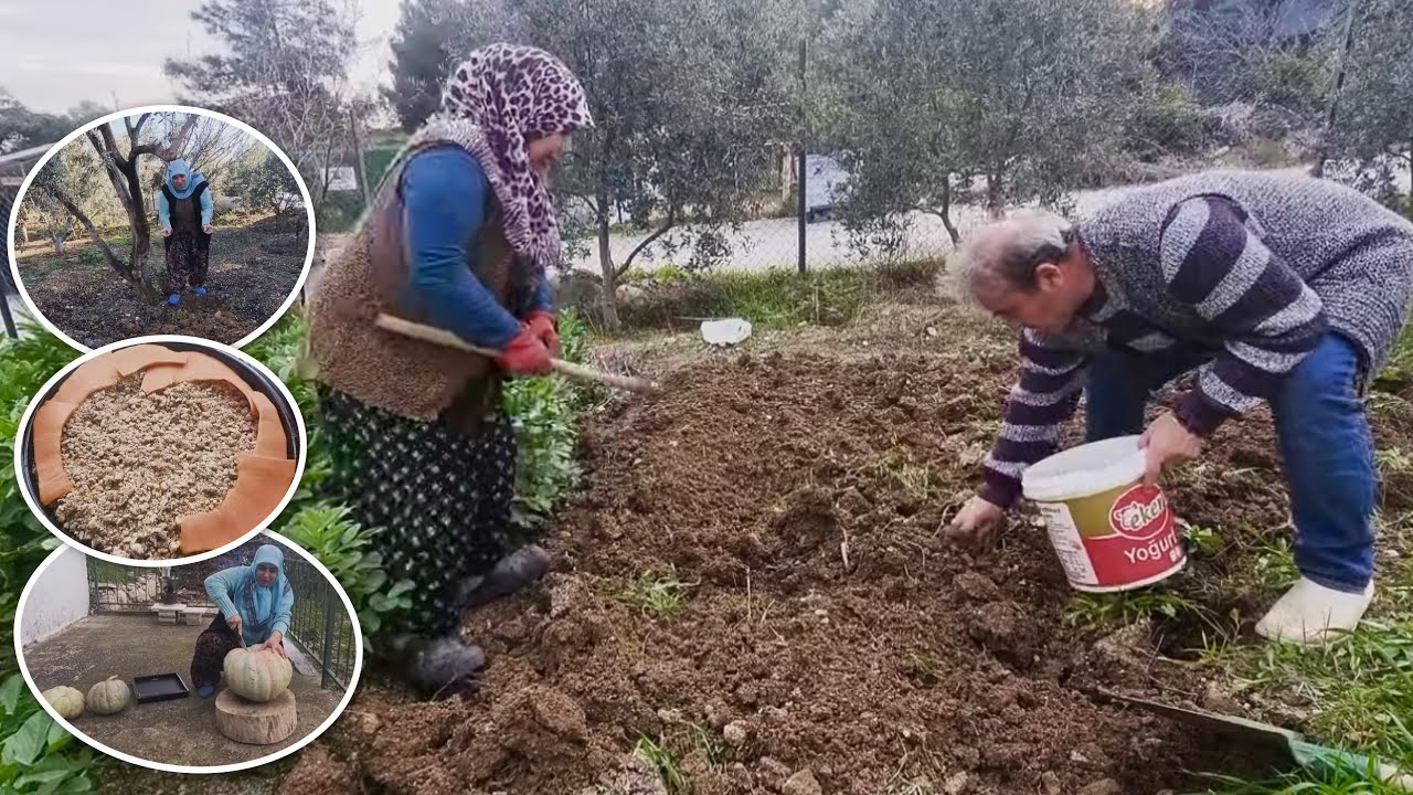 ASKER EĞLENCE İPTAL | BU TARİFLE KABAK YEMEYEN KALMAZ | BAŞ SOĞAN DİKME BAHÇE KÖY İŞLERİ DOĞAL HAYAT