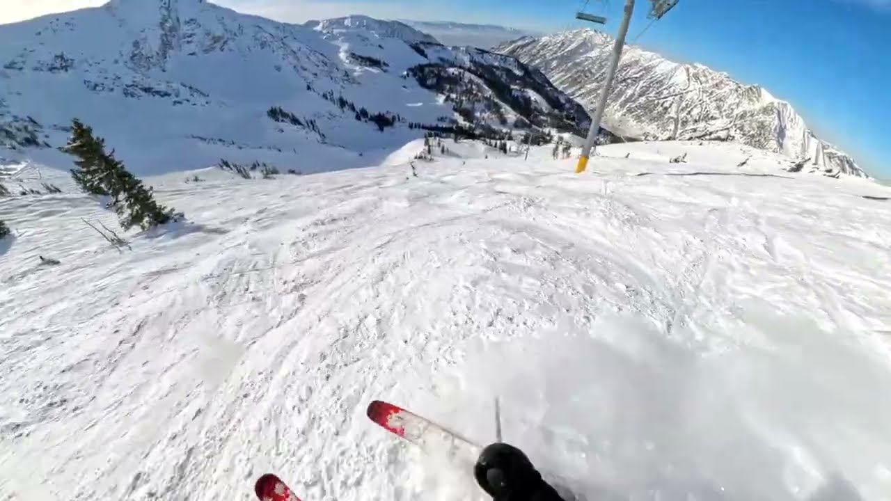 fun skiing at snowbird