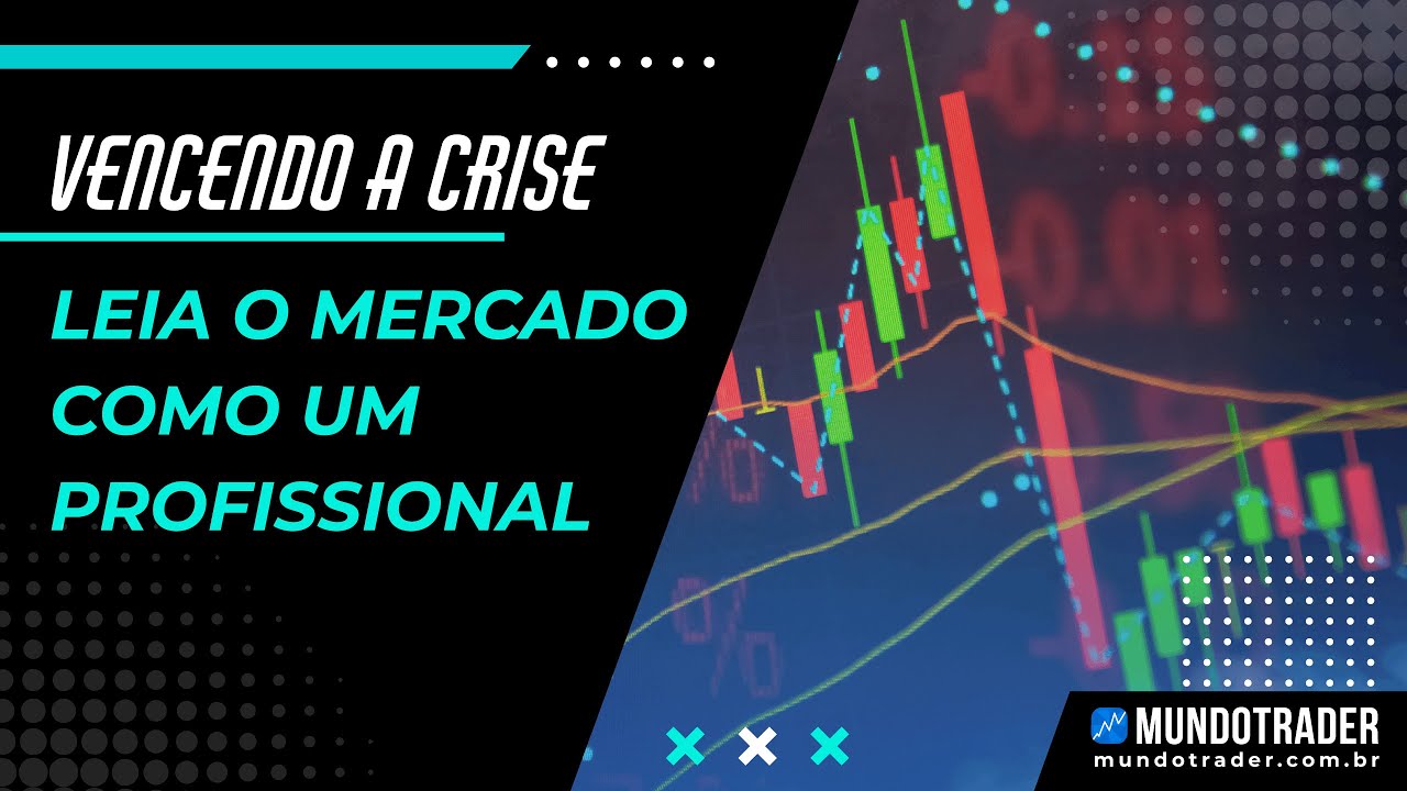 Vencendo a Crise - Leia o Mercado como um Profissional