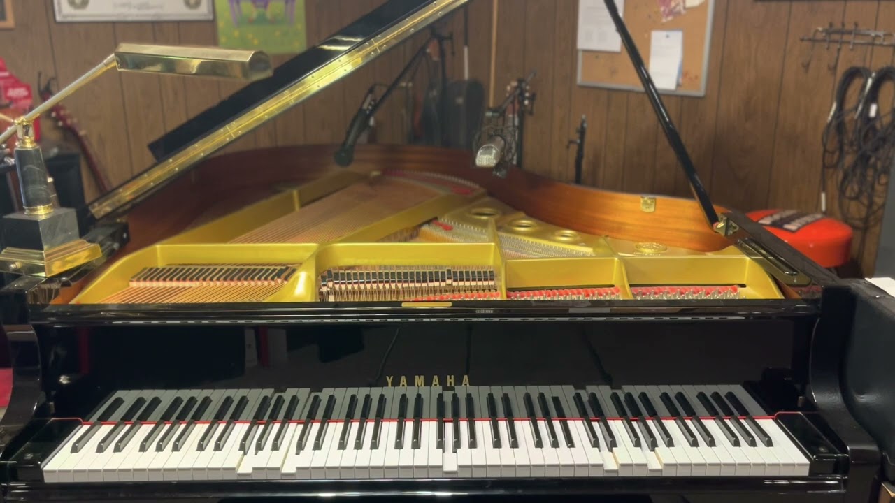 Stranded Lullaby by Miracle Musical | Player Piano Arrangement