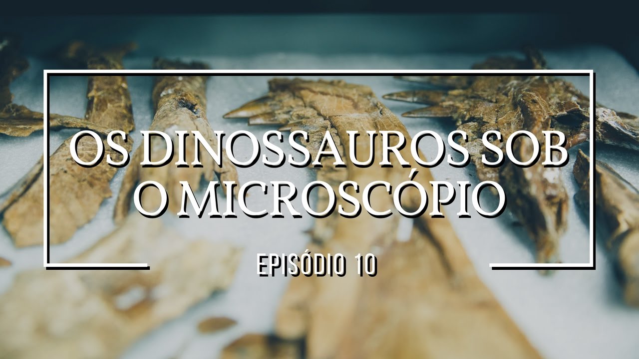 Os dinossauros sob o microscópio | Dinossauros #10