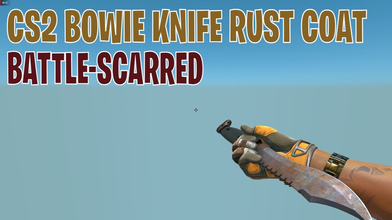 Bowie Knife Rust Coat (Battle-Scarred) | CS2 Skin Showcase #464