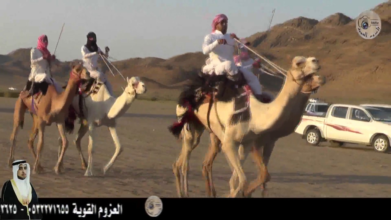 حفل  زواج وائل عياد سليم الهباج الحويطي