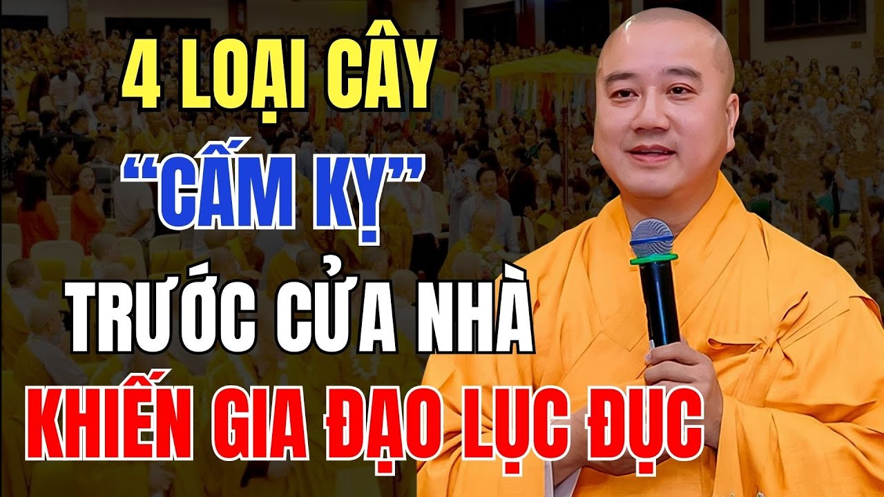 THẦY PHÁP HÒA GIẢNG GIẢI: 4 LOẠI CÂY “CẤM KỴ” TRƯỚC CỬA NHÀ-GIA ĐẠO LỤC ĐỤC-HỌA ĐẾN KHÓ LƯỜNG