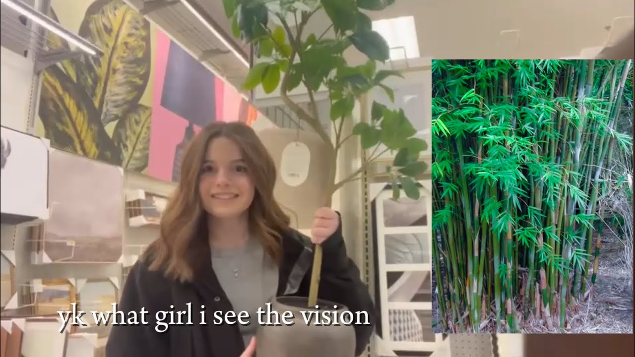 KALTRILLO SISTERS: THERE’S AN IMPOSTER IN TARGET (HEIGHTENED EMOTIONS)