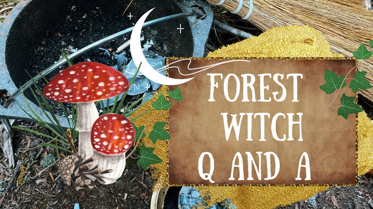 Becoming A Wild Forest Witch 🌙 Green Forest Witch Q and A