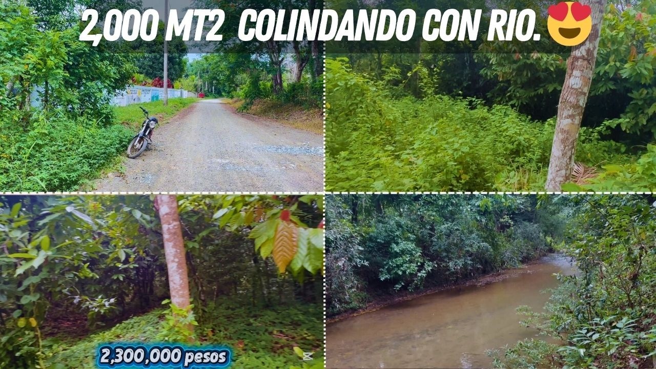 Terreno de 2,000 mt2 con cacao y colindando con rio boya