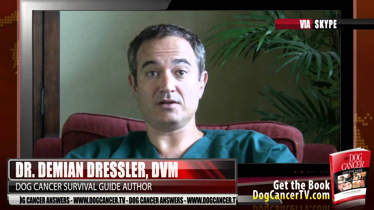 What to Expect in Remission