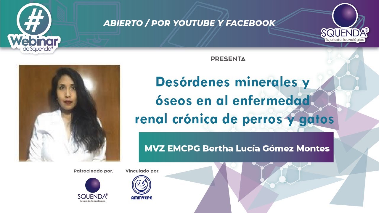 Desórdenes Minerales Y Óseos En La Enfermedad Renal Crónica De Perros Y Gatos - MVZ Lucía Gómez