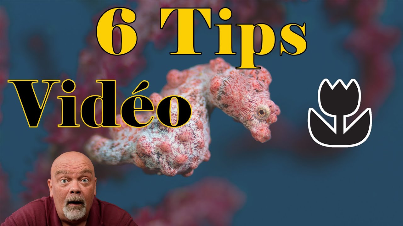 6 tips underwater macro video