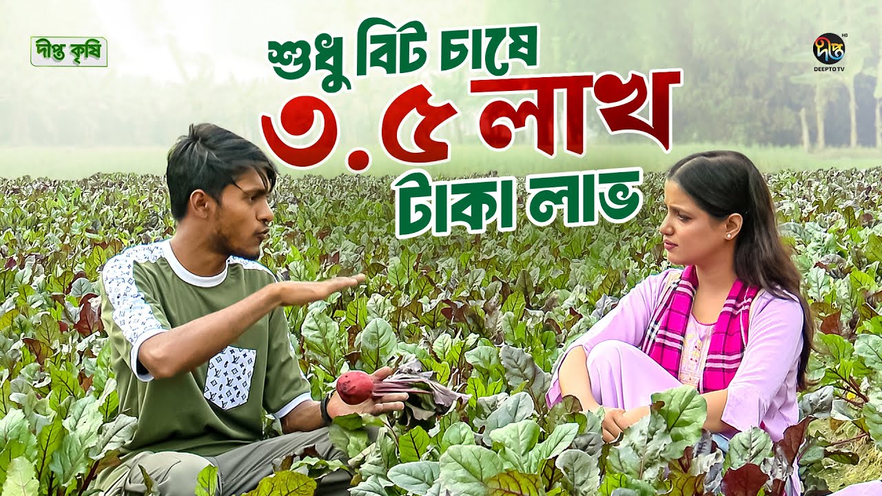 Deepto Krishi | উচ্চ ফলনশীল ফল ও সবজি চাষে সফল জয়পুরহাটের স্বাধীন! | High yielding fruits | EP 1646