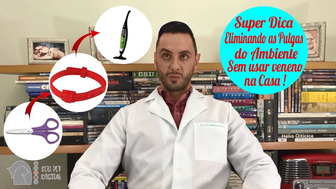 Como eliminar as pulgas do ambiente da sua casa sem veneno! Dica do Canal SEU PET DIGITAL!