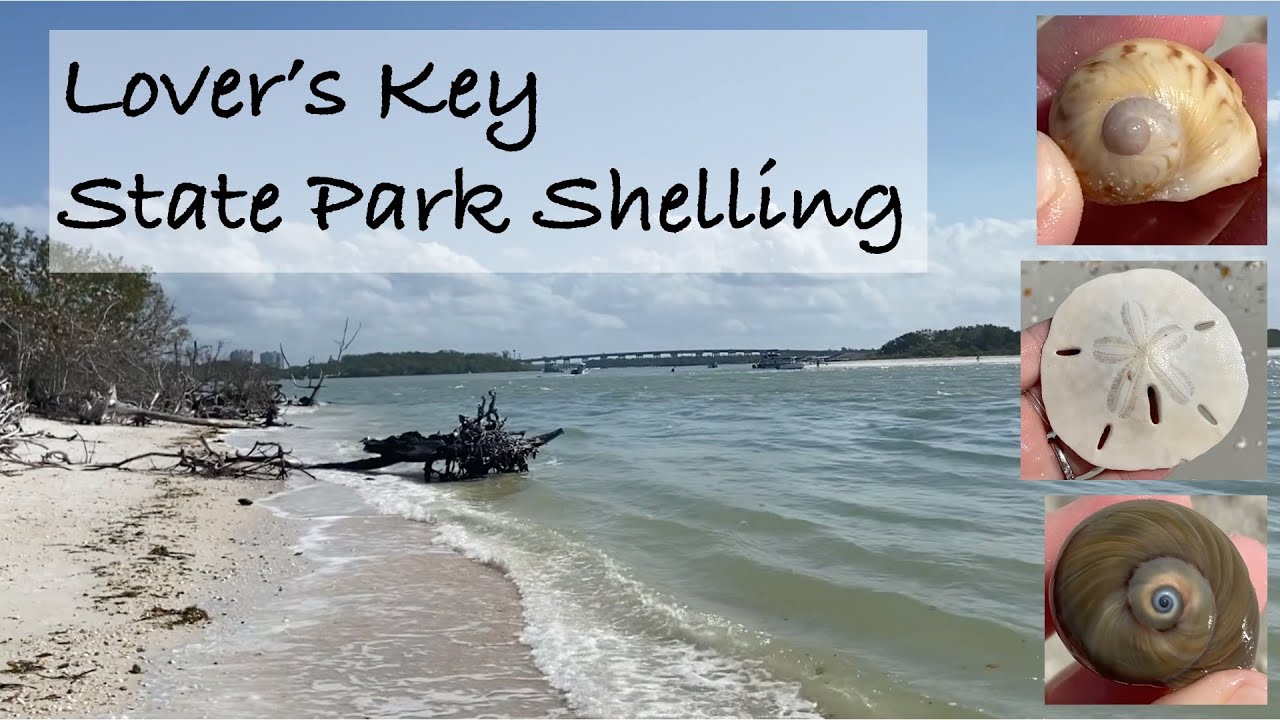 Lover’s Key State Park. Discovery Center Update + Beach Walk + Shelling