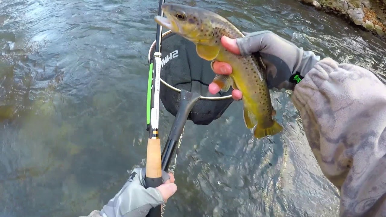 161. Nissin Tenkara Ramon 360 7:3 pack rod