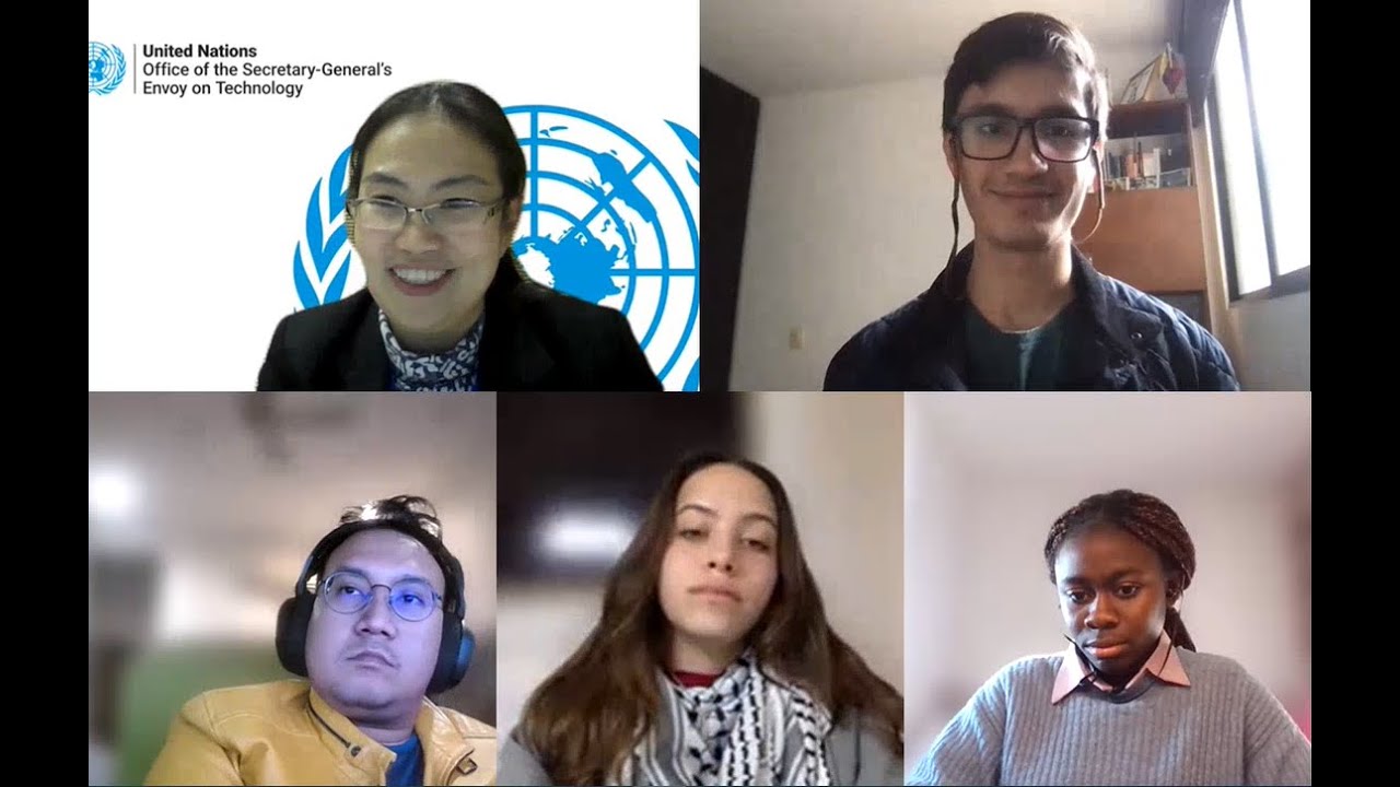 Promoting Human Rights in Times of Crises: Perspectives on Online Youth Activism