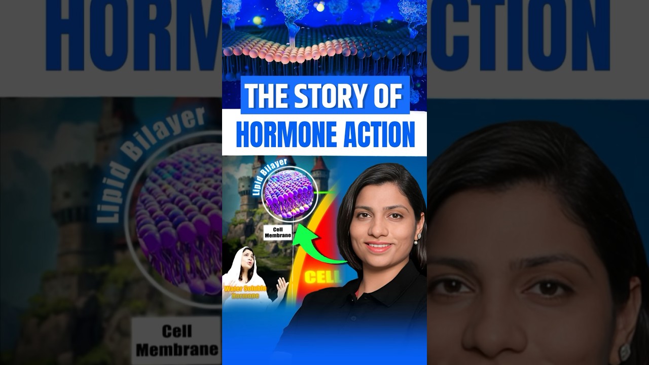 The Story of Hormone Action | NEET Concept #neetbiology #neet2025 #neet2024 #neet #riturattewal