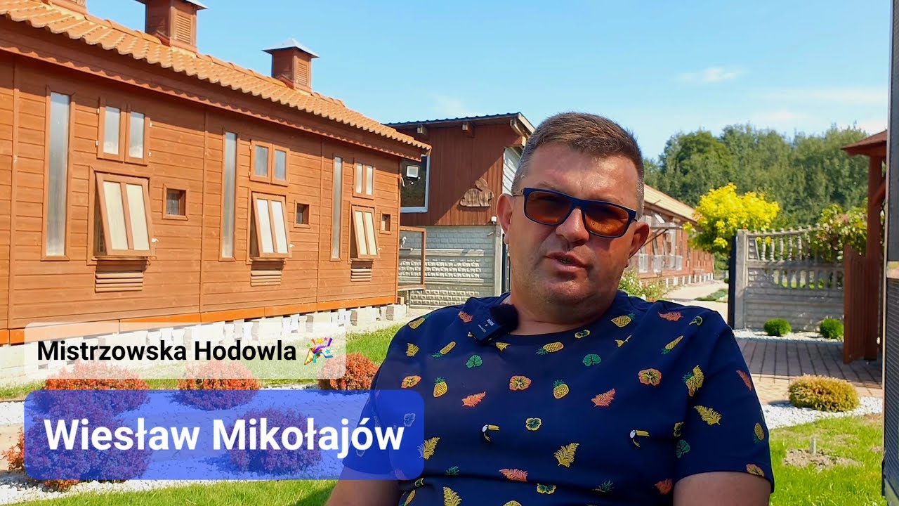 Wiesław Mikołajów - PZHGP 0456 Nysa II / Hodowla & Super Gołębie 🎬🥇🤩