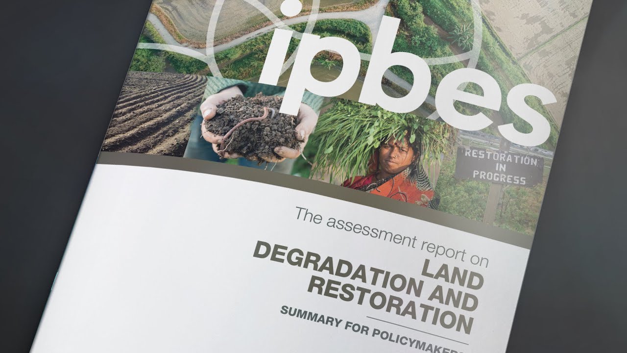 Just How Bad is Land Degradation?