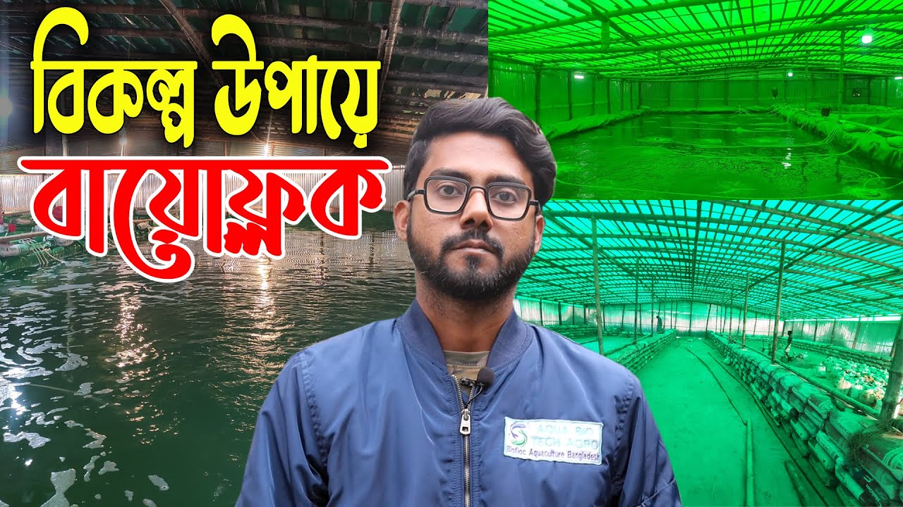 বিকল্প উপায় বায়োফ্লকে মাছ চাষ | ৪ মাসে ১টি ট্যাংক থেকে ১লক্ষ ৫০ হাজার টাকা আয়| Biofloc fish farming