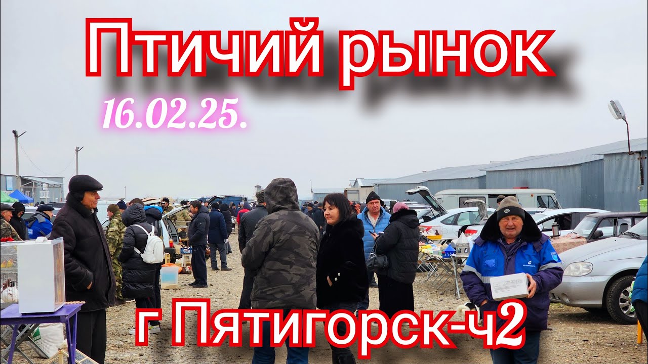 #Птичий Рынок в Пятигорске Голуби Цены -ч2