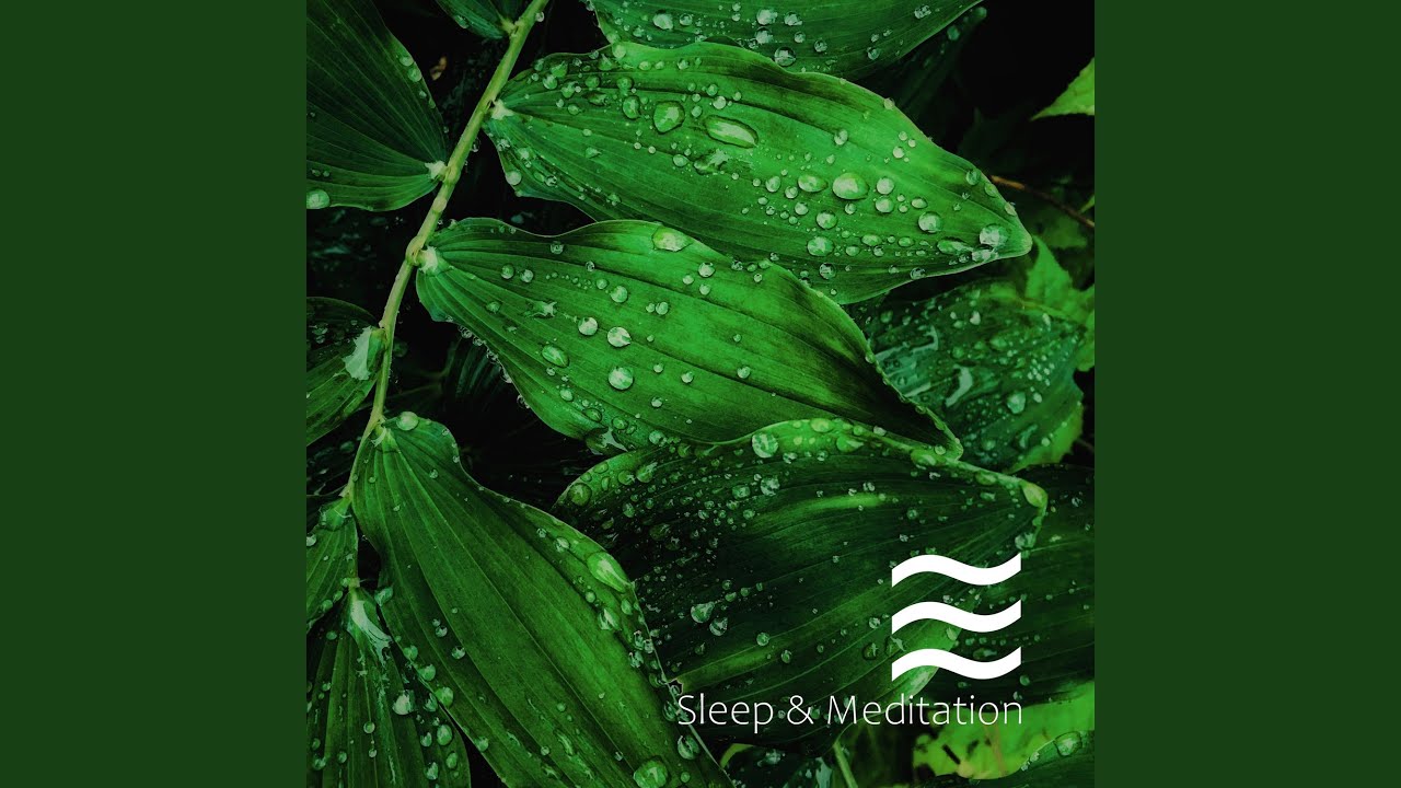 Tonalit&eacute; de sommeil apaisante et bruyante