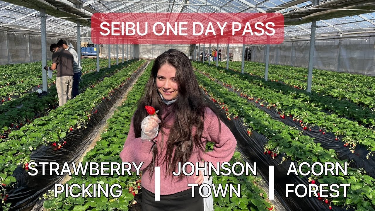 Exploring Saitama, Japan | Seibu One Day Pass