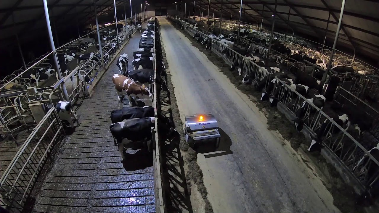 OptiDuo working in Boersma farm, NL