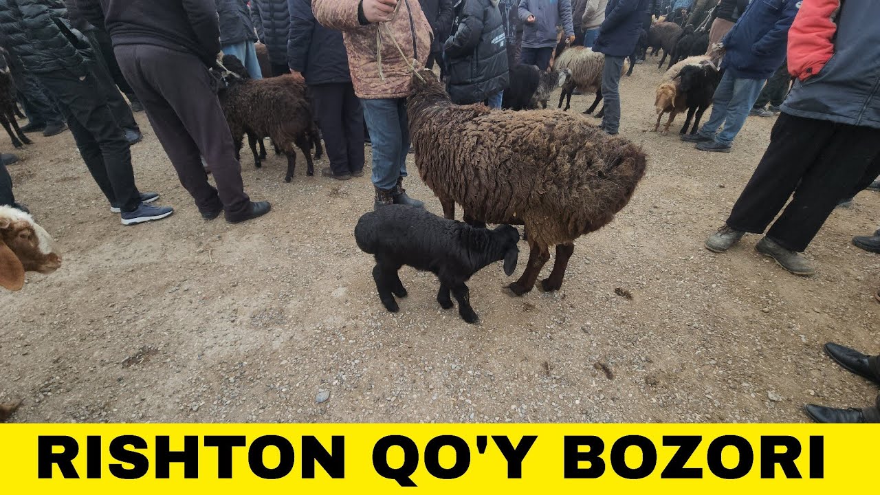 RISHTON QO'Y BOZORI NARXLARI. 