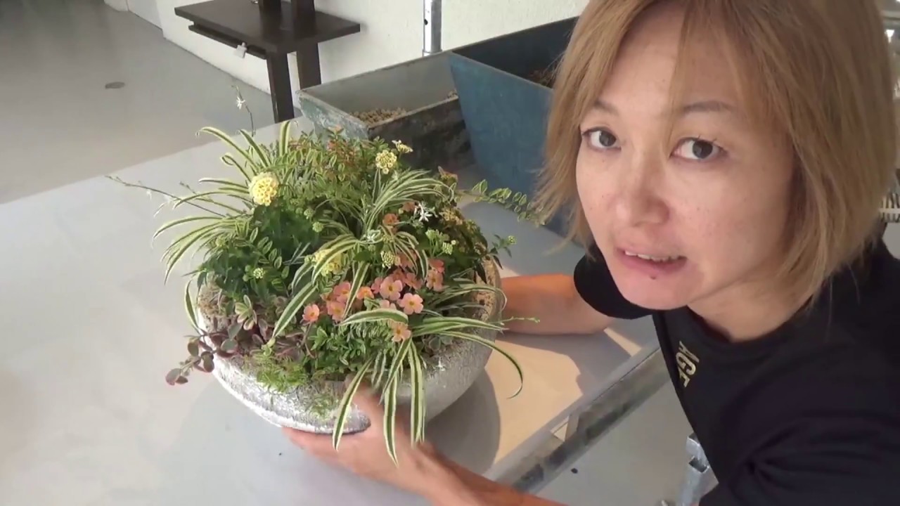 夏の寄せ植え　暑さに負けず長く楽しむ！a group planting tolerant of heat!