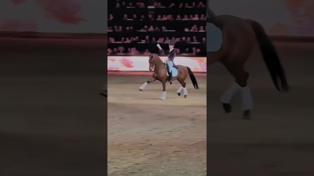 Just for fun 🤩 #edit #fyp #animals #horse #equine #sports #dressage #viral #equestrian #music
