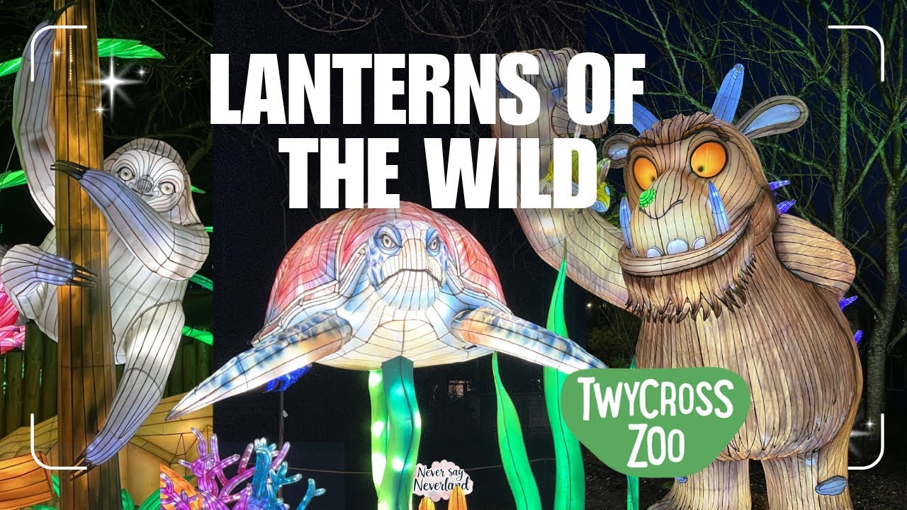 Lanterns of the Wild at Twycross Zoo | Magical Gruffalo Trail & Full Review