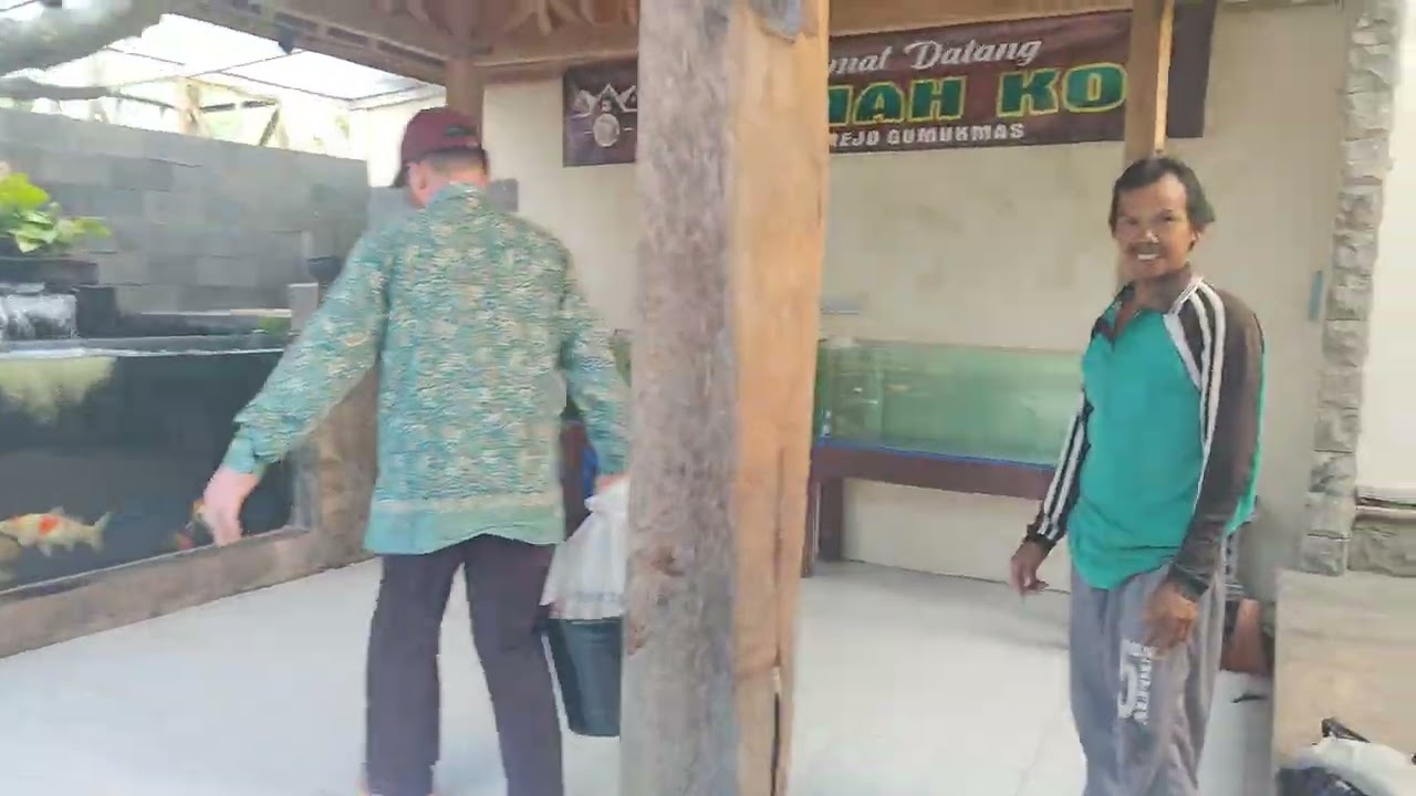 kita pisahkan sesuai grade untuk mempermudah pemelihan