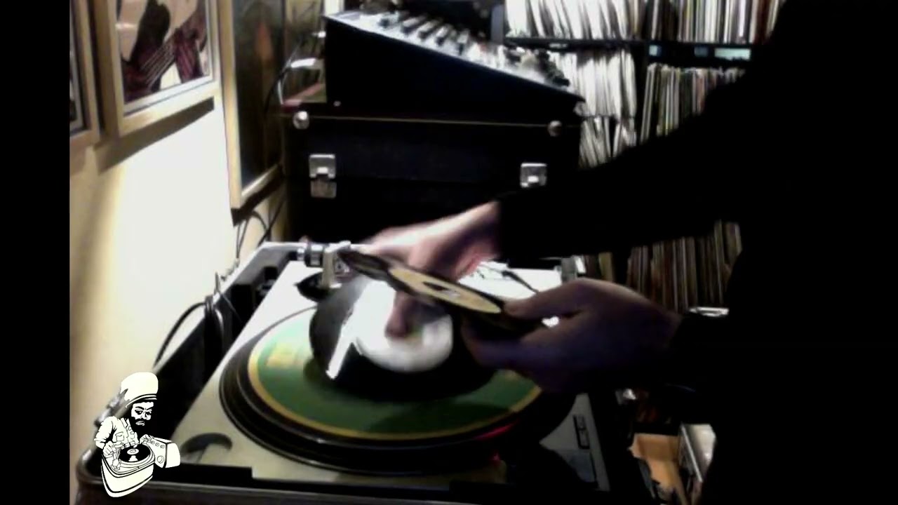 SURVIVAL REVIVAL #38 By Stereotone