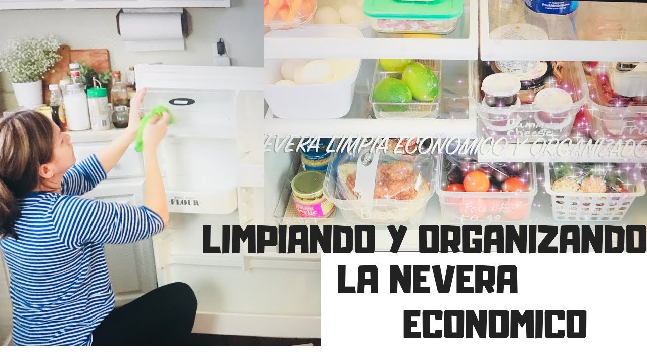 IDEAS FACILES Y ECONOMICAS PARA ORGANIZAR Y LIMPIAR  LA NEVERA CON ORGANIZADORES DOLLAR TREE