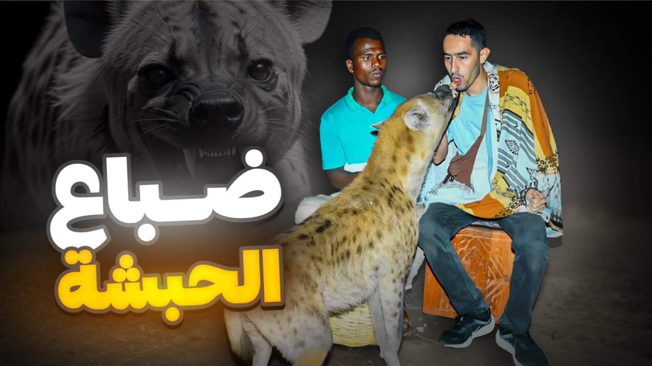 مسلمون في الحبشة يعيشون مع الضباع