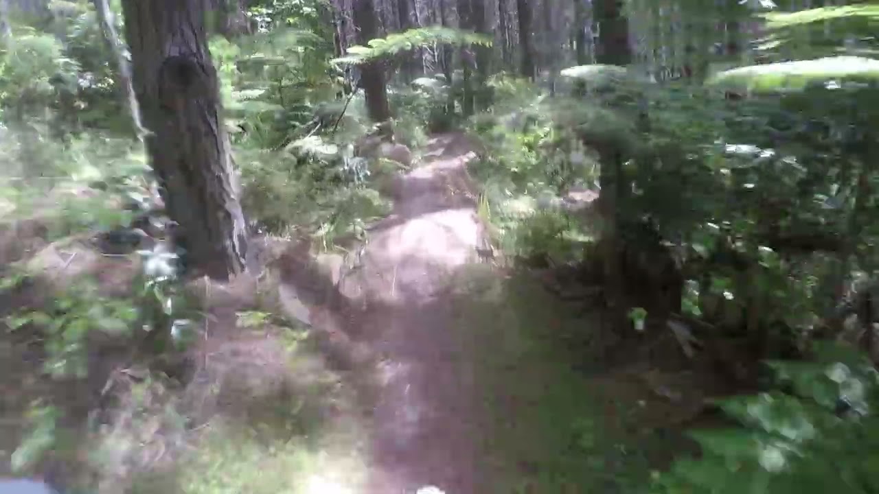 WCRC. G BANGER. OVERGROWTH HARD TO SEE.LOL
