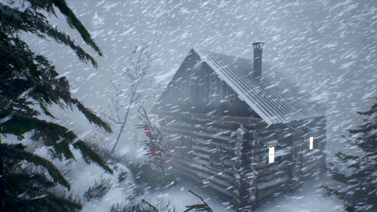 BRUTAL ALASKAN WINTER with ULTIMATE FREEZING COLD and blizzard for sleeping. SEVERE WINTER WIND