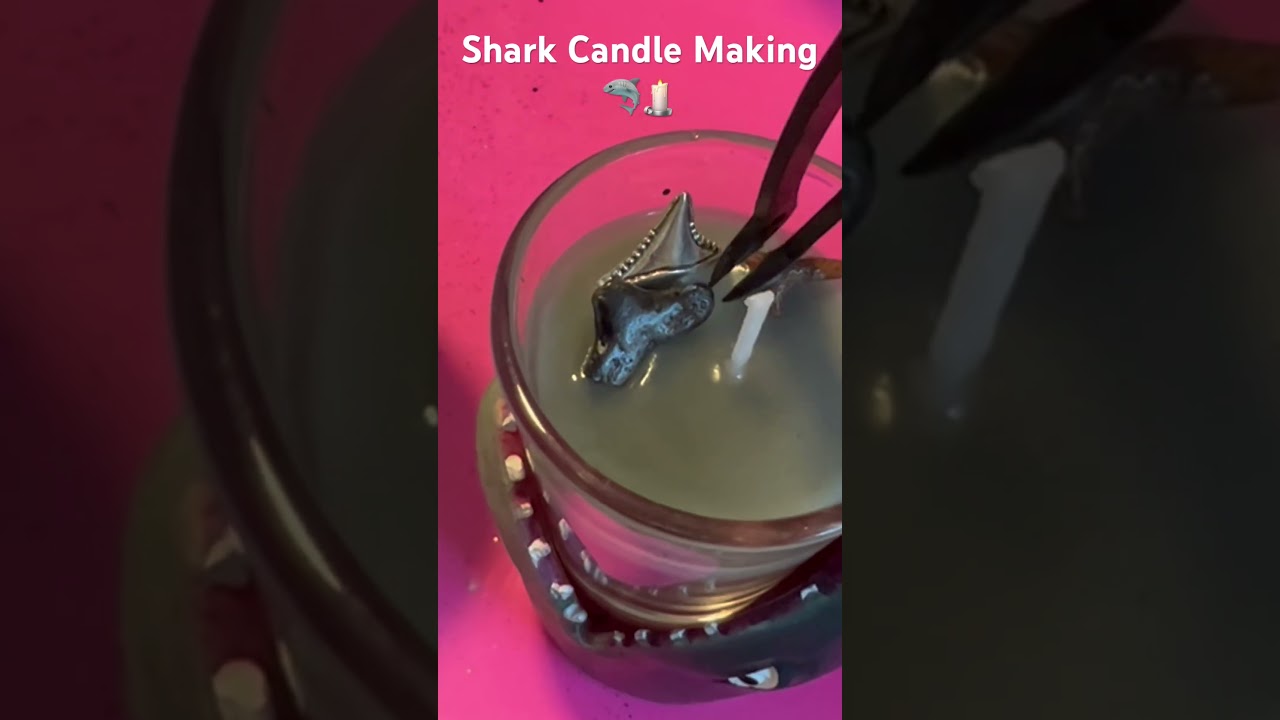 Craft Your Own Shark Week Candles! 🕯️🦈 #DIYFun #FLShelling