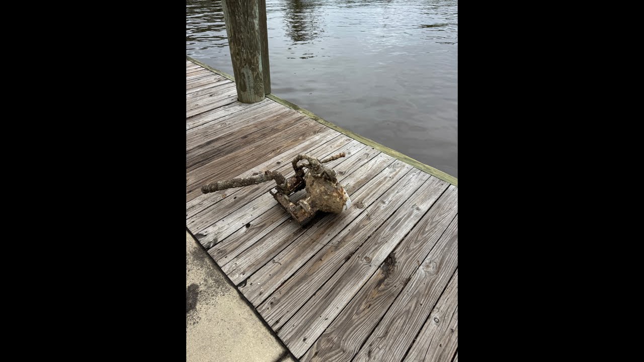 Not so daily fishing report 7/13/2026 gator siting!
