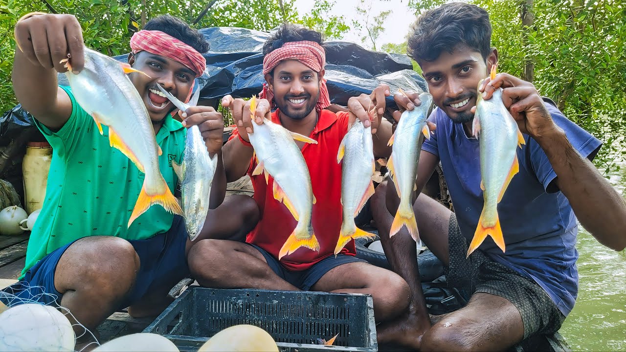মাতলা নদীতে জাল দিয়ে পাঙ্গাস মাছ ধরলাম sundarban net fishing!!!