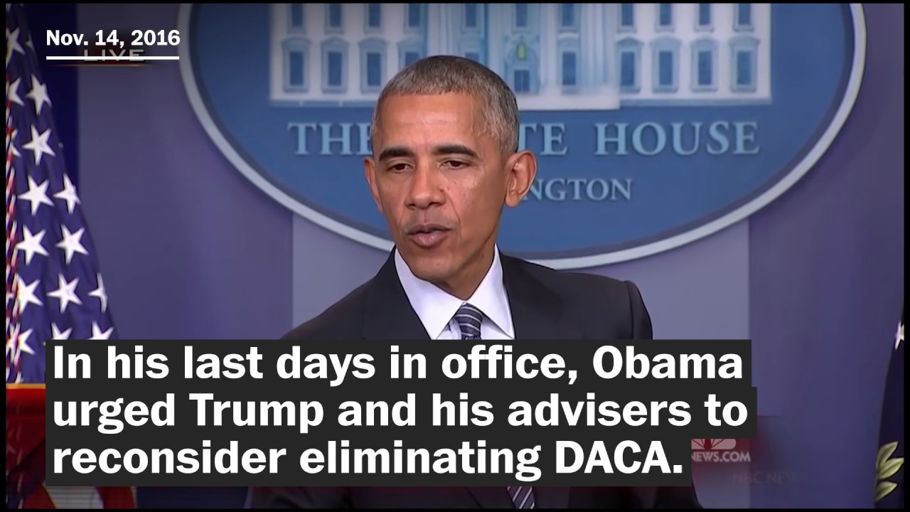 Trump the candidate vs Trump the president on DACA