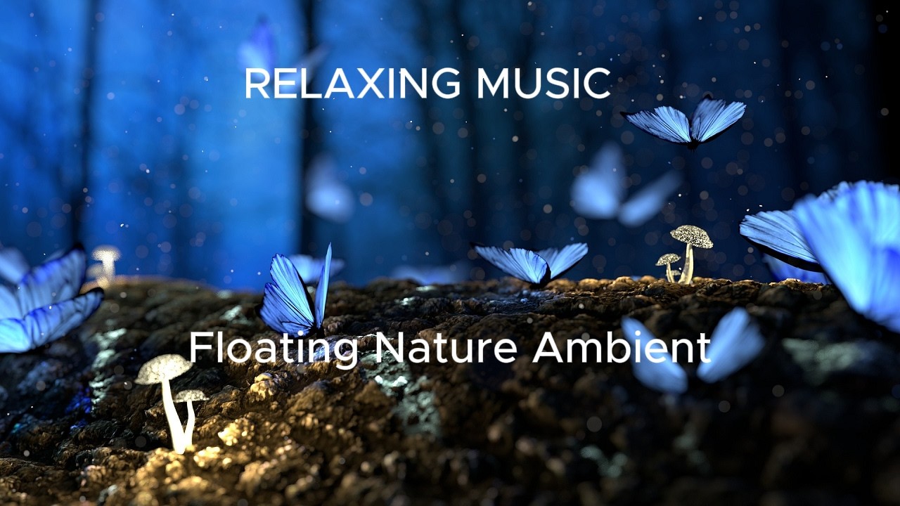 Deep Forest Relaxation 🌲 Nature Sounds & Calm Ambient Music