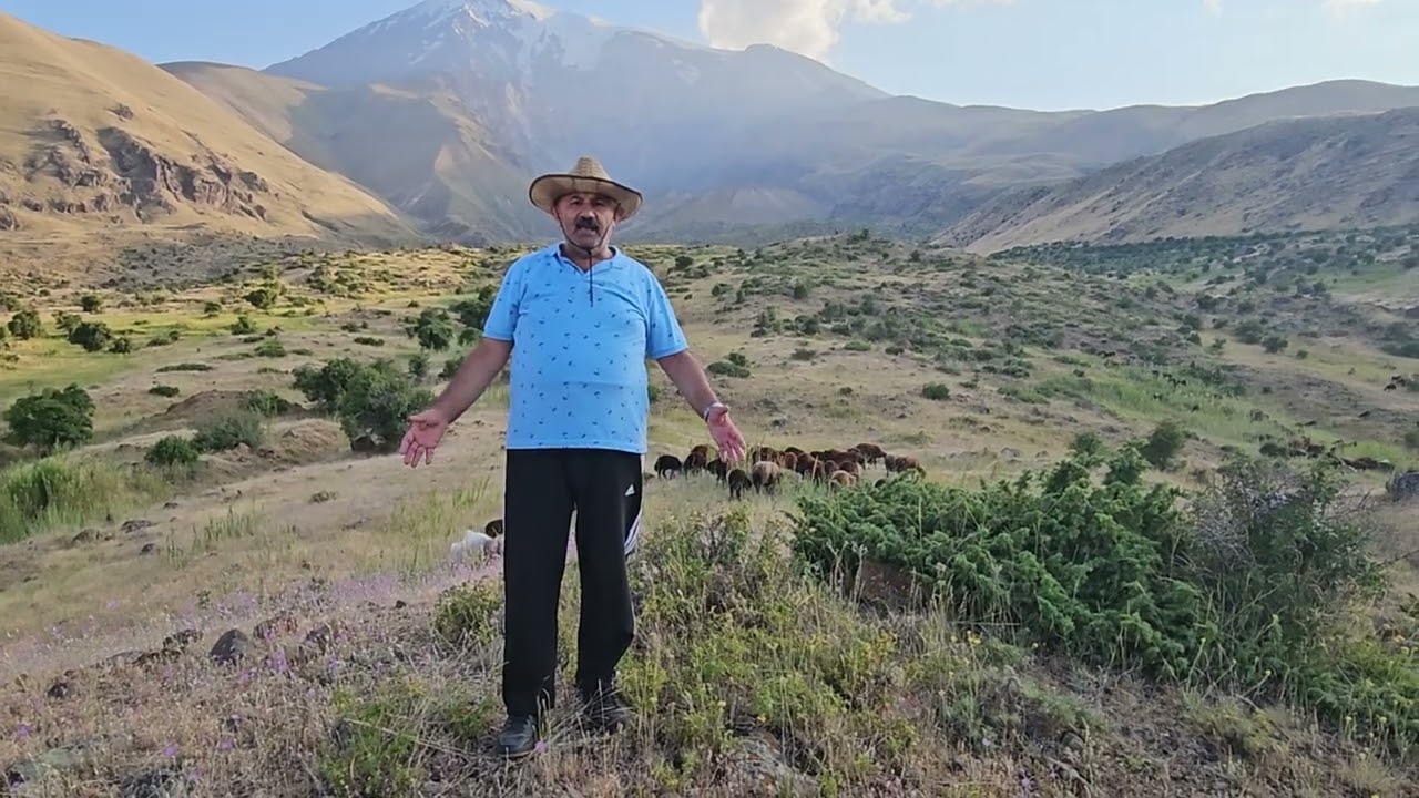 Ağrı Dağı Kuzey yamacı Yenidogan (Ahura)