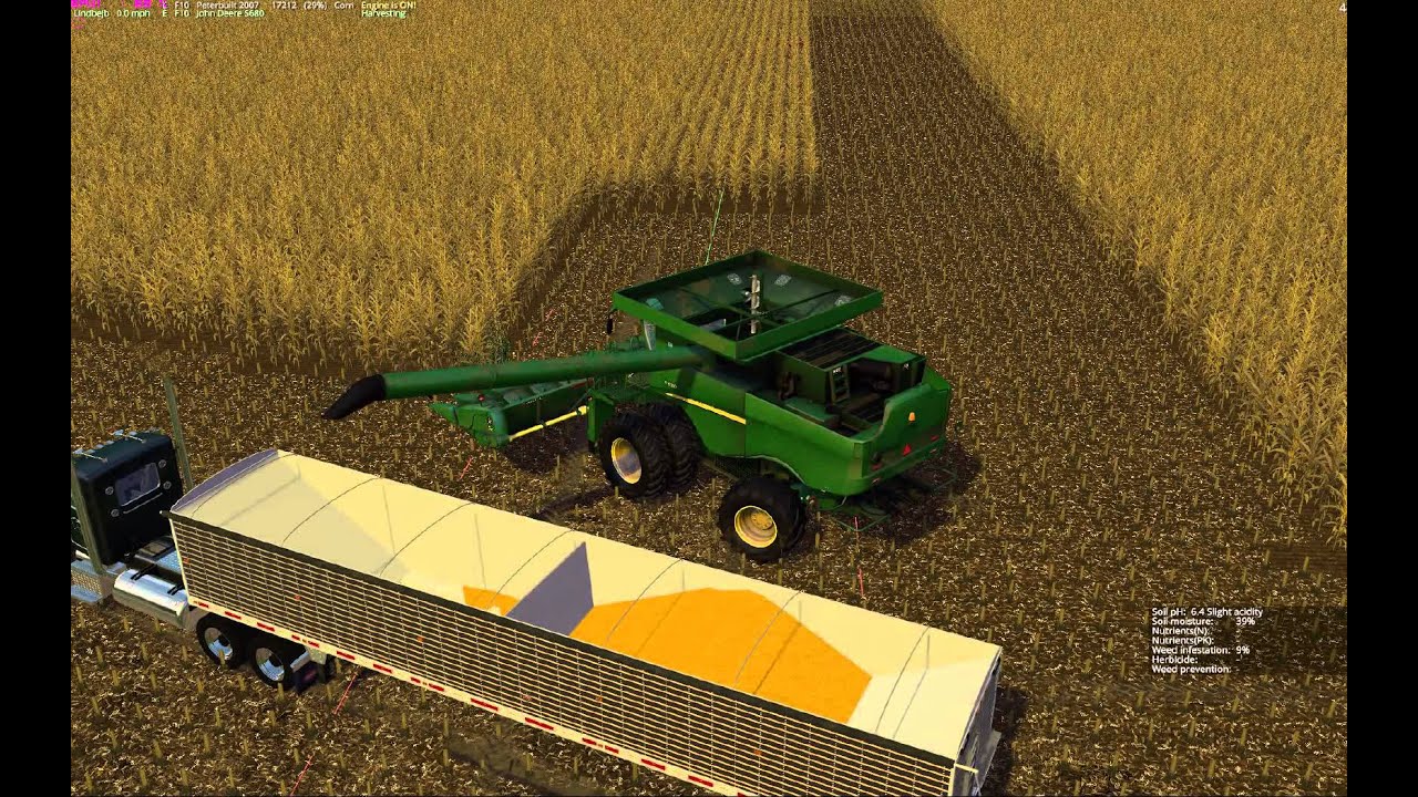 Windchaser Farms:  Green & Gold