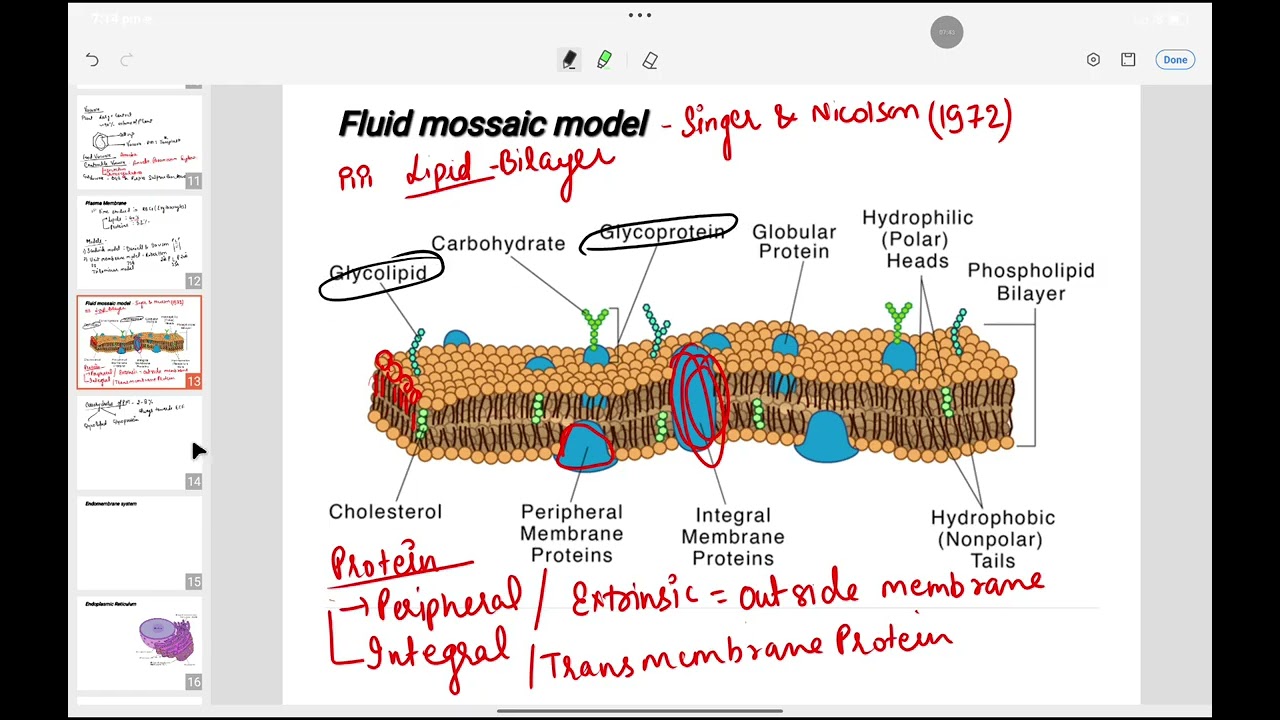 #cell part 2 #study #studymotivation #strategy #motivation #viral #viralvideo #competition 