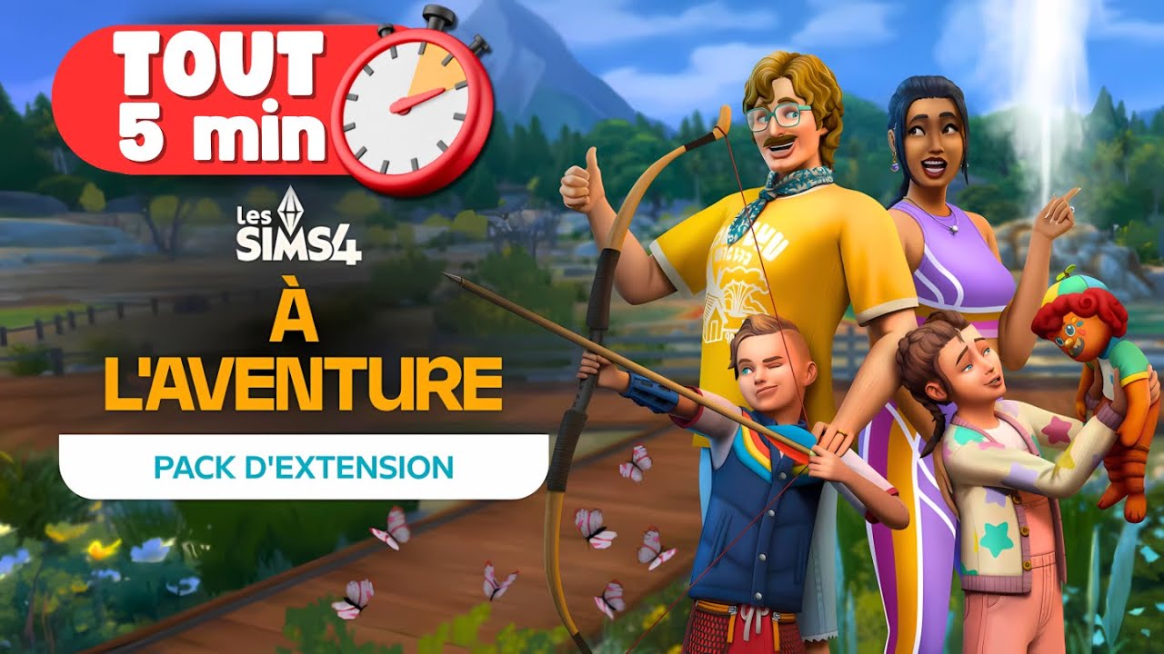 TOUT SAVOIR en 5 MINUTES sur l'EXTENSION 